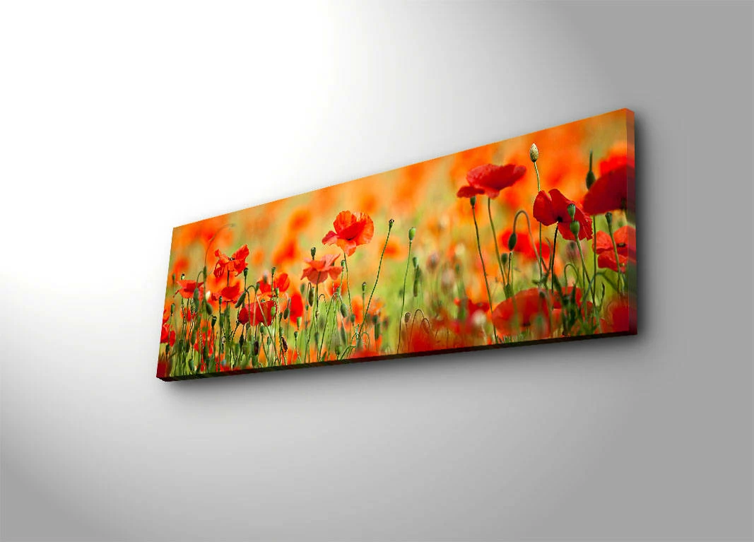 Dekorativna slika na platnu z LED osvetlitvijo, večbarvna, Wallity 3090İACT-13, 30x90 cm