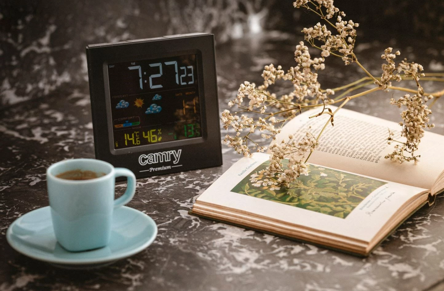 Vremenska postaja Camry CR 1166