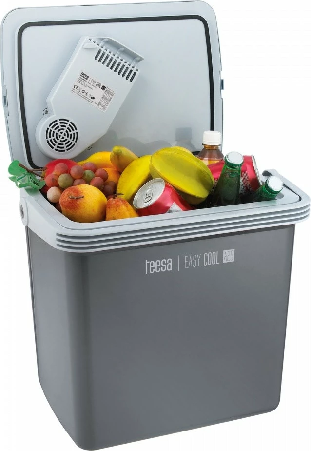 Prenosni hladilnik TEESA EASY COOL A25 TSA5001.1, 25 L, hlajenje/gretje, siv