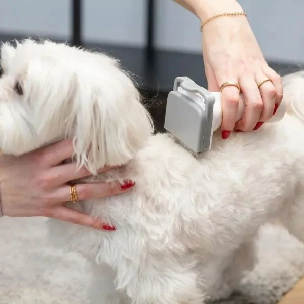 Naprava za nego psov in mačk z električnim sesalnikom in strižnikom dlak MPM MOD-100, siva