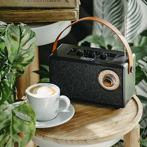 Prenosni zvočnik Bluetooth z FM radiem, Adler CR 1902, 5 W, Bluetooth 5.1, TWS, SD/USB/AUX, 5 h predvajanja, USB-C, črn