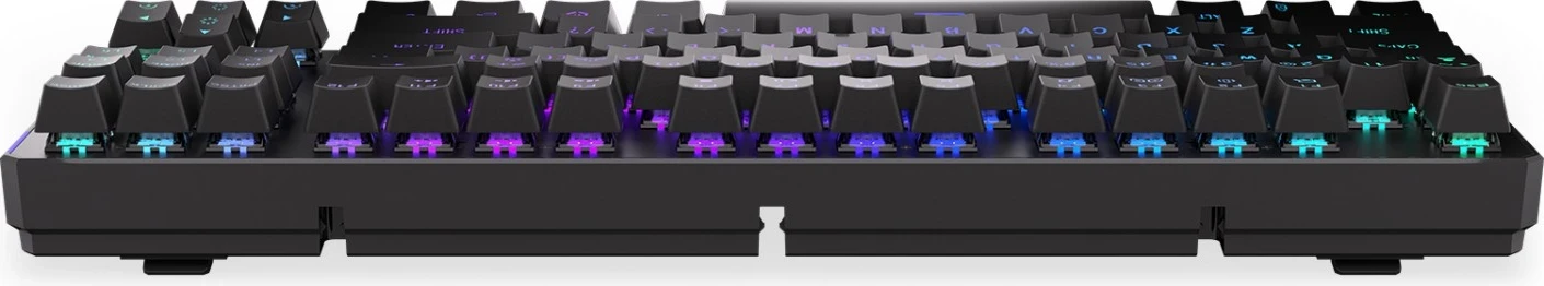 Mekaniški brezžični TKL tipkovnica Endorfy Thock, črna