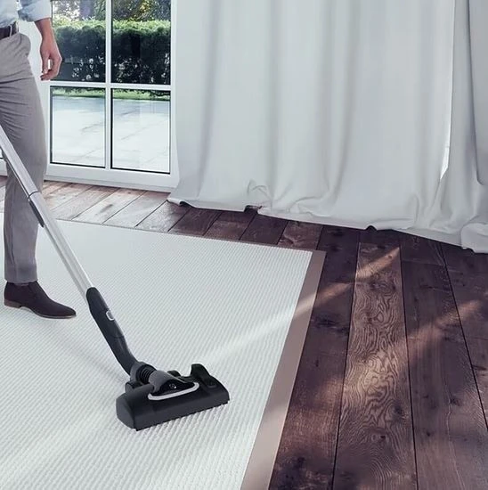 Sesalnik z vrečko Electrolux EUOC9GREEN, črn in zelen