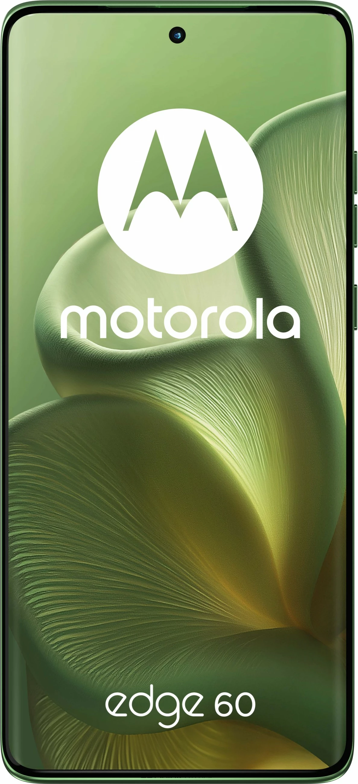 Pameten telefon Motorola Edge 60 5G, 256GB, zelen