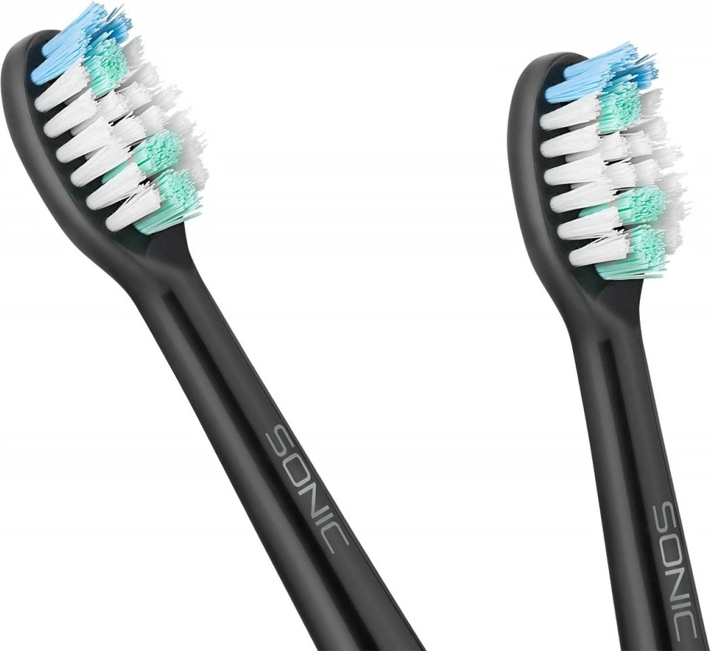 Sonična električna zobna ščetka TEESA TSA8015, črna, z 2 glavi in polnilcem