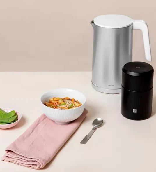 Električni grelnik vode ZWILLING ENFINIGY 1 L, srebrn