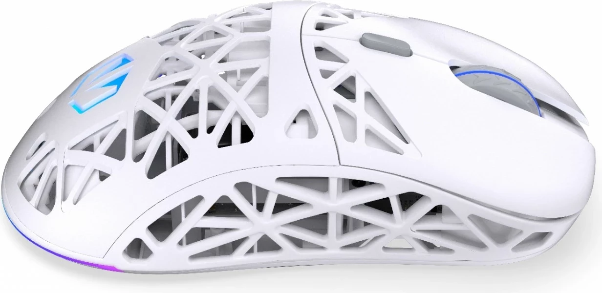 Brezžični miška Endorfy LIV Plus Onyx, RGB, bel