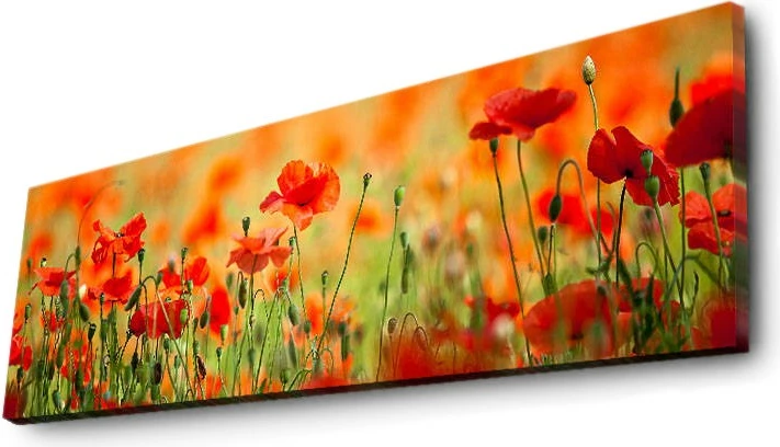 Dekorativna slika na platnu z LED osvetlitvijo, večbarvna, Wallity 3090İACT-13, 30x90 cm