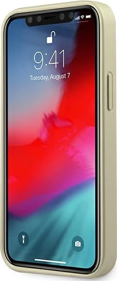 Ovitek za telefon Iridescent Guess za iPhone 12 mini, zlate barve