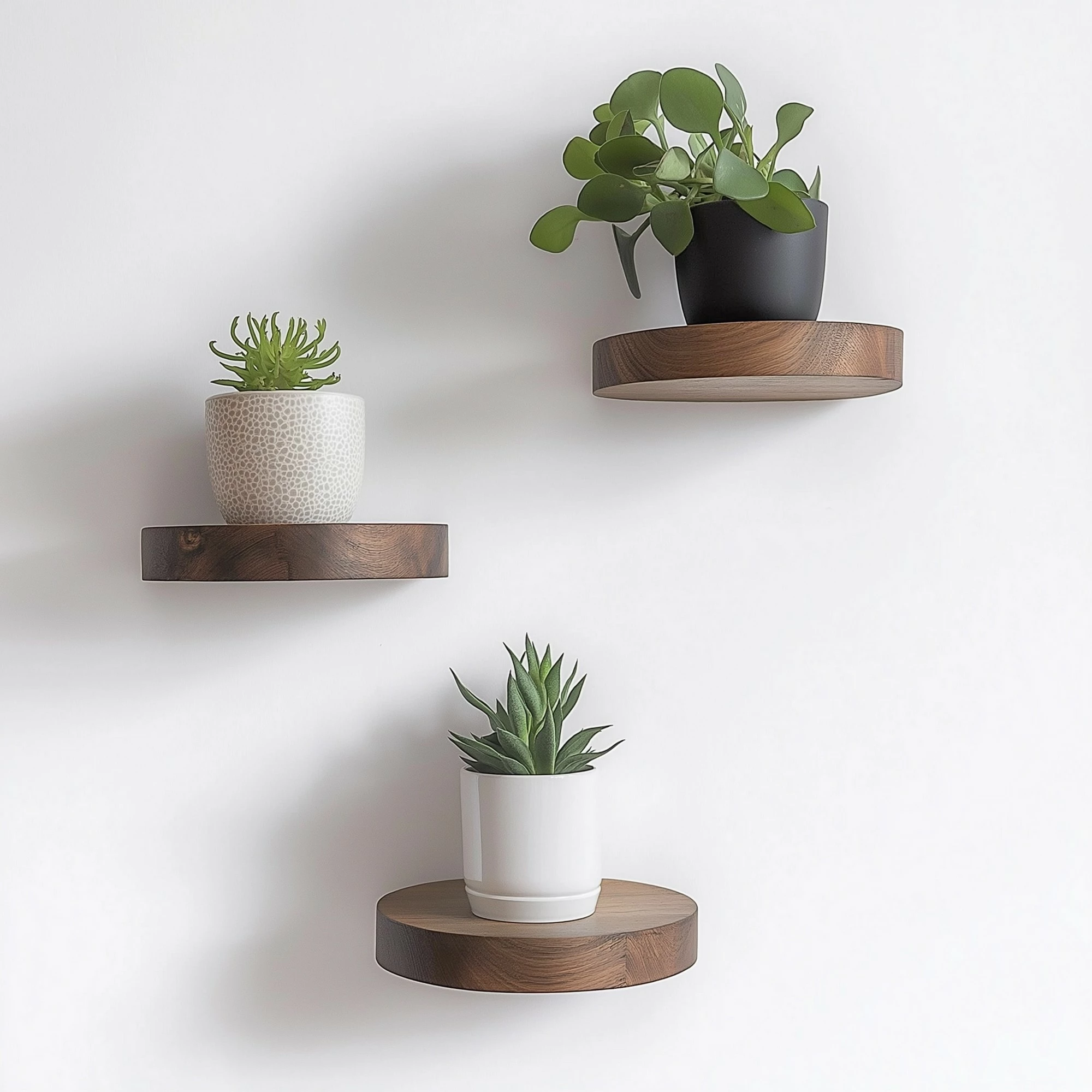Set dekorativnih lesenih polic, Hanah Home, Raf283