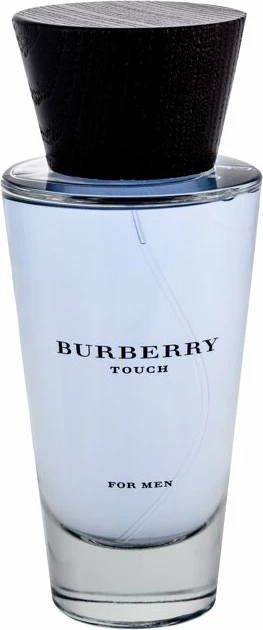 Eau de Toilette za moške Burberry Touch For Men, 100 ml