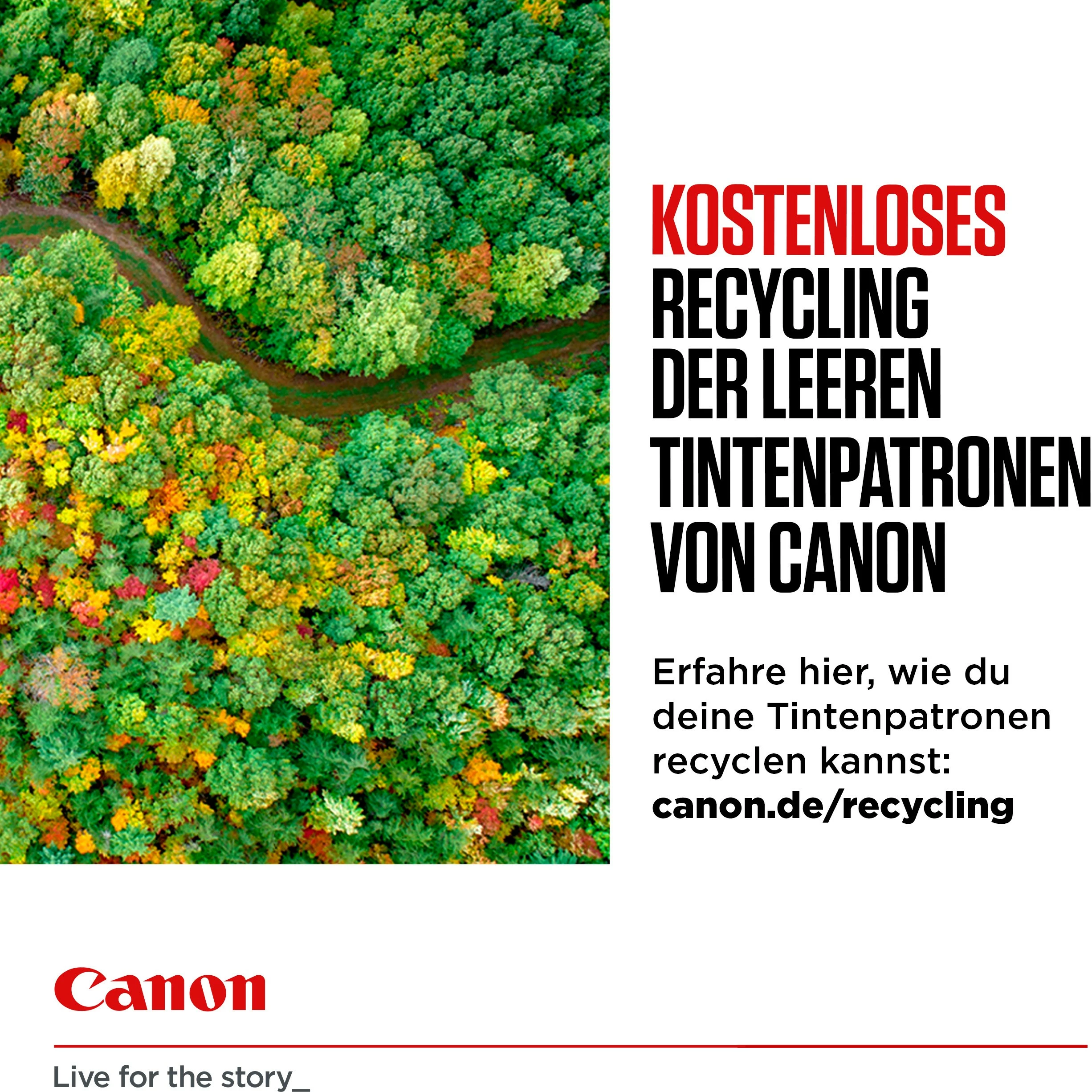 Kaseta s črnilom, visok izkoristek Canon PGI-580XL, pigmentna, 18.5 ml, črna