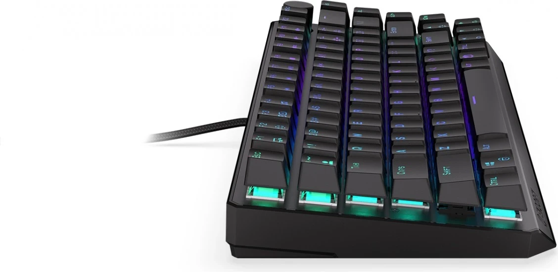 Brezžična igralna tipkovnica Endorfy Thock Red, USB-C, črna