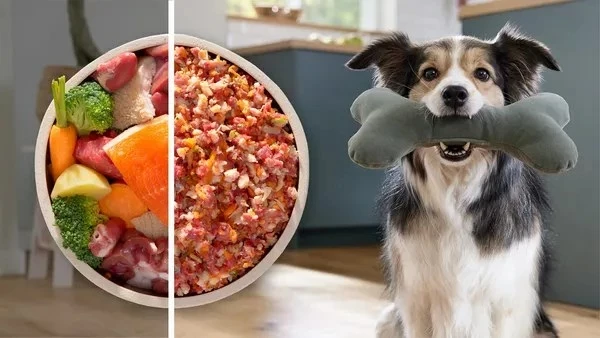 Električni mlinček za meso Bosch Serie 6 MFWS650B, 500 W, črno/srebrn