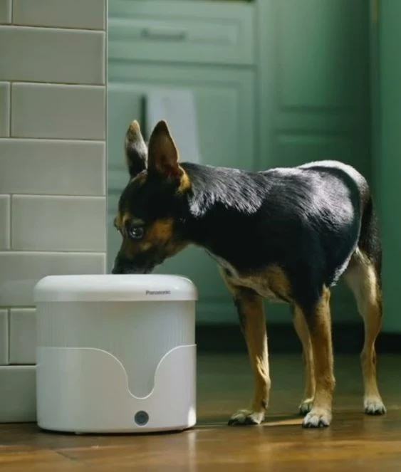 Avtomatski hranilnik za hišne ljubljenčke Panasonic CP-JNF01CW, plastika, inox, bel