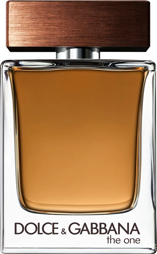 Eau de Toilette za moške Dolce & Gabbana The One, 100 ml