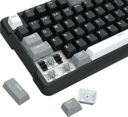 Mehanska tipkovnica Redragon ARLOKKS QMK K742, 96%, RGB, brezžično/žično, angleška, črna