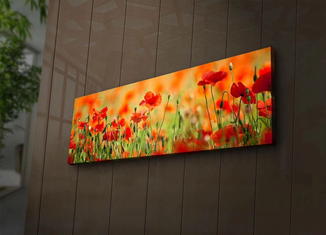 Dekorativna slika na platnu z LED osvetlitvijo, večbarvna, Wallity 3090İACT-13, 30x90 cm