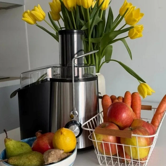 Shtrydhëse sadja MPM MSO-18M, 1000 W, inox, črna