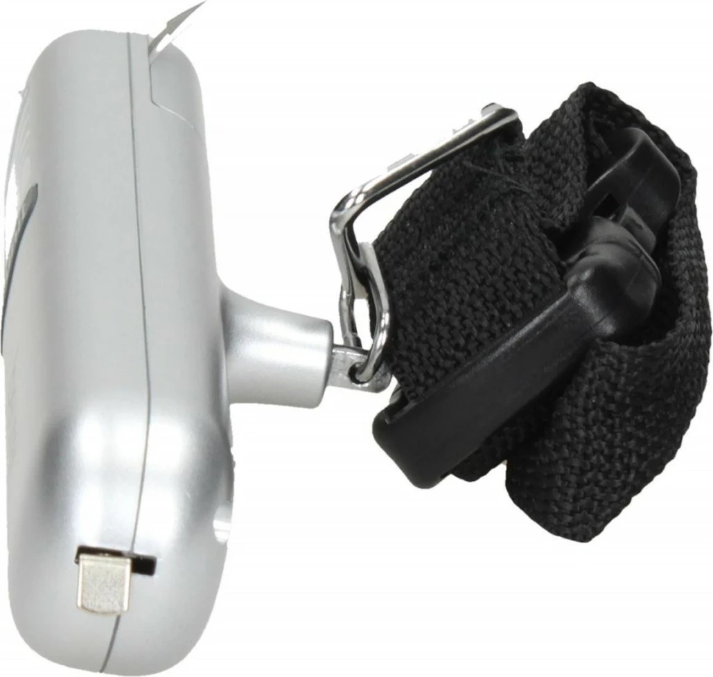 Prtljaginska tehtnica Beurer LS06, srebrna