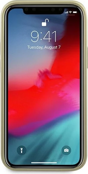 Ovitek za telefon Iridescent Guess za iPhone 12 mini, zlate barve