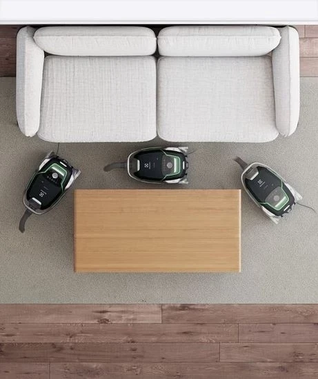 Sesalnik z vrečko Electrolux EUOC9GREEN, črn in zelen