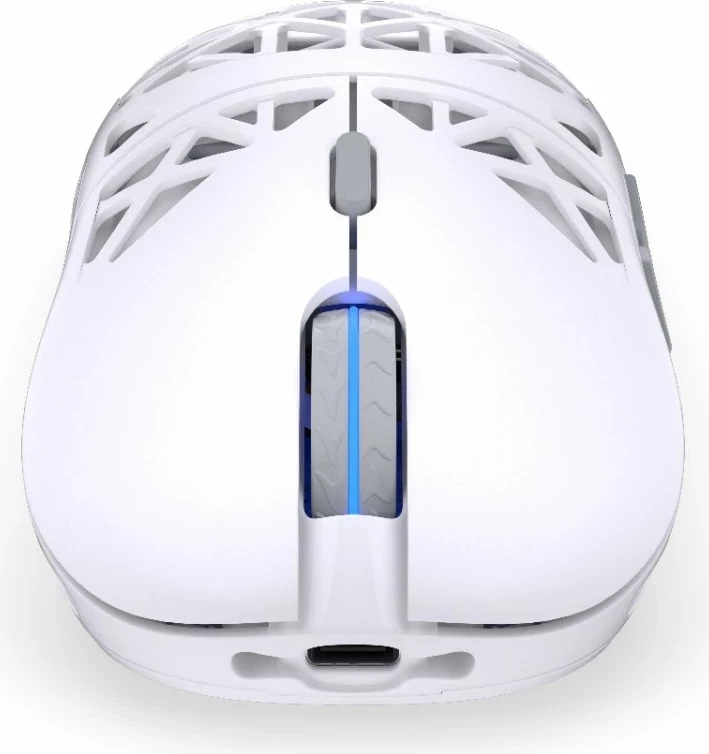 Brezžični miška Endorfy LIV Plus Onyx, RGB, bel