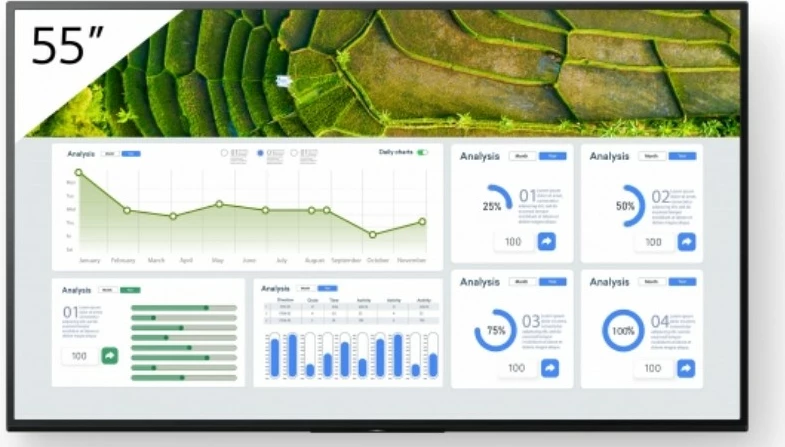 Velik zaslon 55 inč Sony FW-55BZ30L, 4K Ultra HD, LCD, Wi-Fi, Chromecast